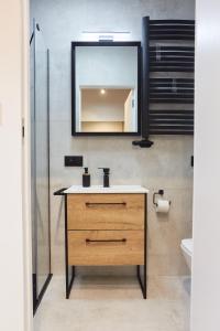 卡尔帕奇Apartament "Powoli" z darmowym parkingiem的一间带水槽和镜子的浴室