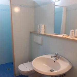 佛罗伦萨佛罗伦萨瓦尔德瑟旅馆的一间带水槽、卫生间和镜子的浴室