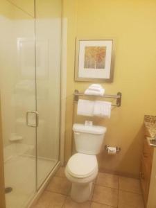 西德尼MainStay Suites Sidney - Medical Center的一间带卫生间和玻璃淋浴间的浴室
