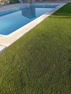 卡兰达Cabezo Buñuel Hostal的一座带绿草的游泳池,位于房子旁边