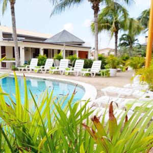 棕榈滩Aruba Quality Apartments & Suites的一个带游泳池、椅子和棕榈树的度假村