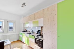 弗里德贝格Like King Friedrich - Kicker - Parking - Kitchen的厨房配有绿色和木质橱柜。