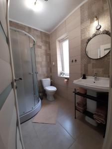 布拉索夫Apartment BIANCA的带淋浴、卫生间和盥洗盆的浴室