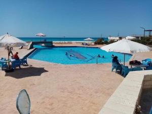Dawwār Abū MaḩrūsStunning Beachfront Villa on North Coast Mediterranean的一座大型游泳池,里面的人都沉浸在水中