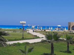 Dawwār Abū MaḩrūsStunning Beachfront Villa on North Coast Mediterranean的棕榈树公园和海滩上的步道