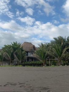 蒙特里科Cabo tortugas - casa的海滩上的房子,前面有棕榈树