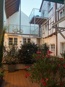 贝格施特拉瑟黑彭海姆Das schiefe Haus Wohnung Starkenburg的花卉和植物建筑的阳台