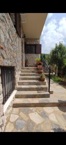 卡兰巴卡Panos Luxury Suites的通往种植盆栽植物的建筑的石阶