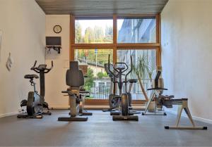 莱克斯Modern renoviert mit Hallenbad + Fitness的健身房设有几辆健身自行车和窗户