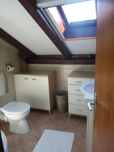 奥利布岛Holiday house with a parking space Olib - 18805的浴室设有卫生间和带天窗的盥洗盆。