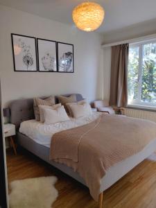 安特卫普Cosy and Fully Equipped Apartment near Antwerp的一间卧室设有一张大床和一个窗户。