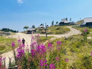 StahovicaVelika Planina Koča Kekec的一位在泥土路上走着,花粉色的男人