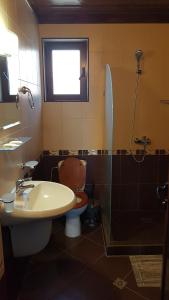 克尔贾利Вили Болярка的浴室配有卫生间、盥洗盆和淋浴。