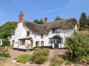 克雷迪顿The Thatched Cottage的古老的白色小屋,设有茅草屋顶
