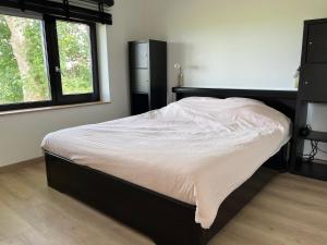 阿珀尔斯哈Bij De Kei Appelscha的卧室配有床,位于带2个窗户的房间