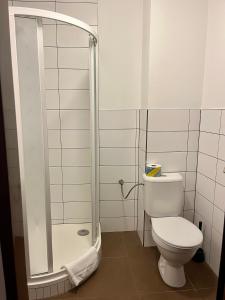 马达伯乐斯拉夫姆拉达博莱斯拉夫运动酒店的一间带卫生间和淋浴的浴室