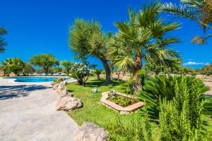 圣玛加利达Ideal Property Mallorca - Vernissa的一个带游泳池和棕榈树的庭院