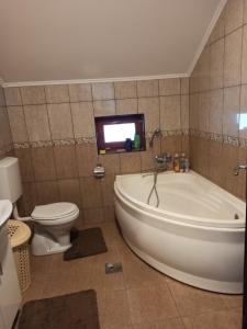 巴伊纳巴什塔Apartman Vukan的带浴缸和卫生间的浴室以及电视。