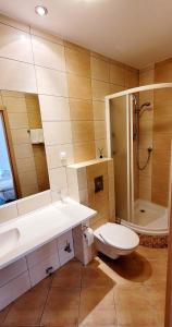 绿山城Hotel Zajazd Kultury, dawniej Pocztowy的浴室配有卫生间、盥洗盆和淋浴。