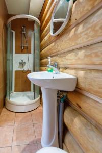 IkšķileViesu nams “Dimantu ferma”的一间带水槽和淋浴的浴室