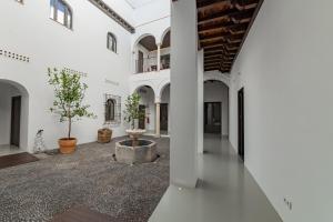科尔多瓦Casa del Cardenal的拥有白色墙壁的走廊和种有盆栽植物的庭院