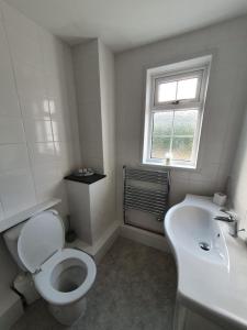 圣奥斯特尔Station House的白色的浴室设有卫生间和水槽。
