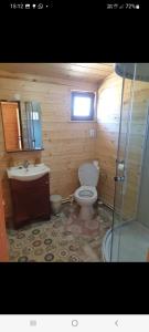 锡比乌La căbănute的浴室配有卫生间、盥洗盆和淋浴。