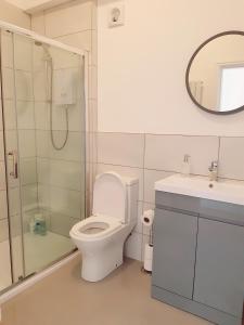 兰贝里斯No's 7 and 8 Llewelyn Apartments的浴室配有卫生间、淋浴和盥洗盆。