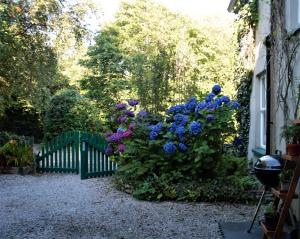 肯梅尔Remarkable Apartment in Kenmare Ireland的围栏旁的蓝色和紫色花丛