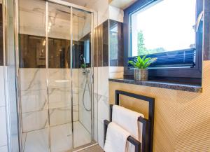 穆希纳Apartament Muszyna的带淋浴的浴室和玻璃淋浴间