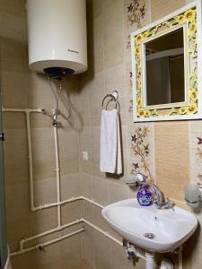 扎布利亚克Apartments Bulatovic的一间带水槽和镜子的浴室
