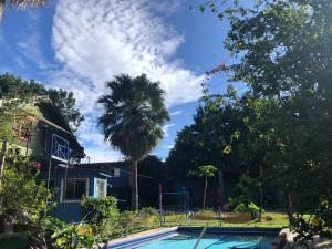 下博克特Toopas的棕榈树,在一座带游泳池的房子前