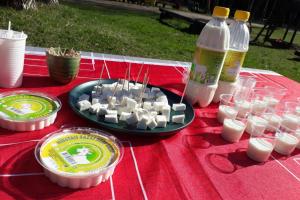 OzolniekiGlempings Kaziņu ferma Līcīši的一张野餐桌,上面放有一盘棉花糖和奶瓶