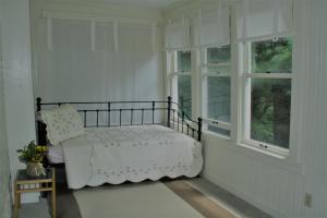 萨拉纳克莱克Franklin Manor Bed and Breakfast的一间卧室设有一张床和两个窗户。