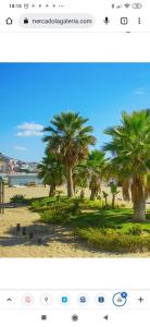 福恩吉罗拉Beach and Sun , Centro Fuengirola, 2 minutos playa CON PARKING OPCIONAL的棕榈树海滩照片的屏蔽