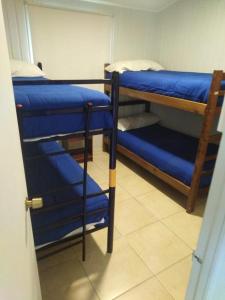 巴伊亚英格莱萨Camping Las Machas的客房设有2张双层床,配有蓝色床单