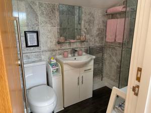 特鲁罗Meadowside Lodge with Hot Tub的浴室配有卫生间、盥洗盆和淋浴。