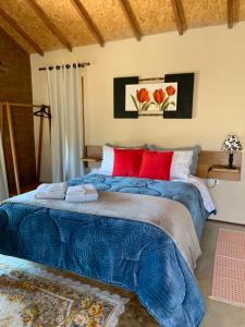 圣安东尼奥-杜皮尼亚尔Chalés Água azul的一间卧室配有蓝色的床和红色枕头