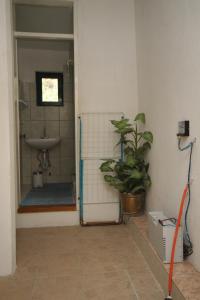 博格莫耶Seaside secluded apartments Cove Smokvina, Hvar - 4036的浴室设有水槽和植物淋浴