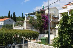 莫鲁纳特Apartments by the sea Molunat, Dubrovnik - 2137的花朵边的建筑