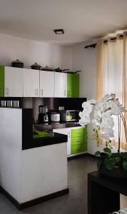 帕讷杜勒Cinnamon Apartment Panadura的厨房配有绿色和白色的橱柜和植物