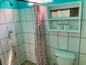 萨玛拉Woodstock Hostel的一间带卫生间和淋浴帘的浴室