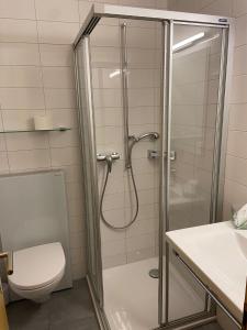 Visperterminen红峰酒店及餐馆的带淋浴、卫生间和盥洗盆的浴室