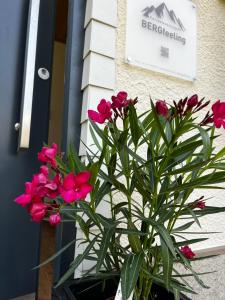 巴德米滕多夫Ferienwohnungen BERGfeeling的门前有粉红色花的盆栽植物