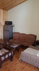 第比利斯第比利斯时光旅馆的客厅配有棕色沙发和桌子