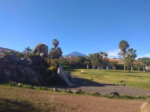 圣乌尔苏拉Tenerife Family Home的坐在公园岩石上的人