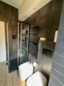 博洛尼亚Alfea Suite的一间带卫生间和玻璃淋浴间的浴室