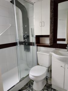 塔尔卡瓦诺Puerto Perales Talcahuano的浴室配有卫生间、淋浴和盥洗盆。