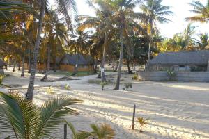 伊尼扬巴内Casa Coco Palmeira的棕榈树和建筑的沙滩