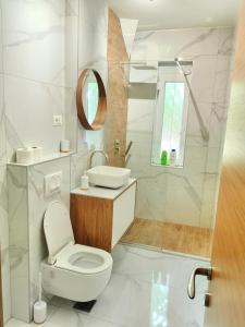 波德戈里察Luxury apartment Podgorica的一间带卫生间、水槽和镜子的浴室